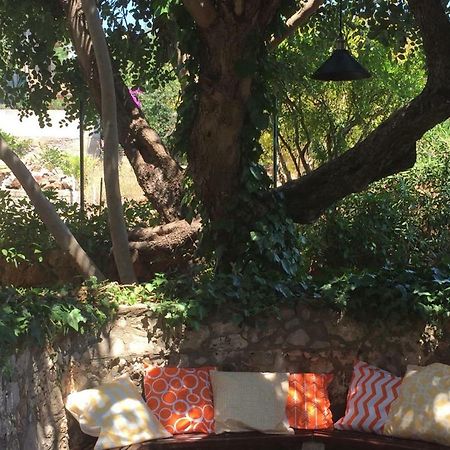 Апартаменти Relax Garden Старий Град Екстер'єр фото